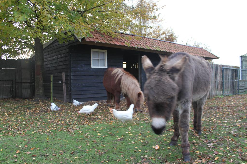 B&B De Rijcke Rust Rijkevorsel Exteriér fotografie