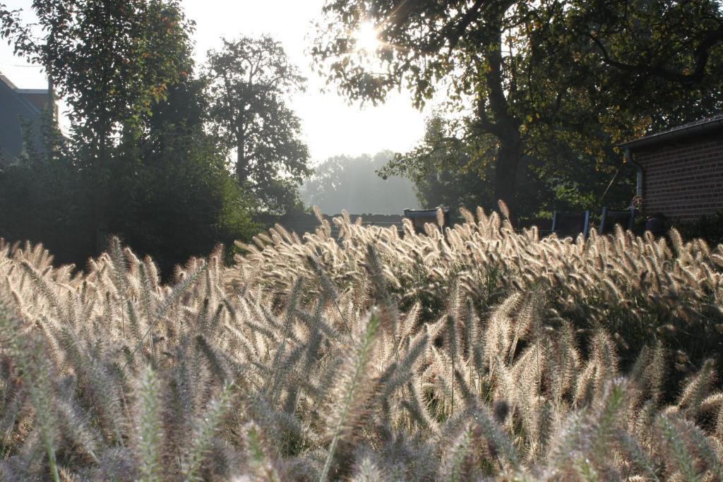 B&B De Rijcke Rust Rijkevorsel Exteriér fotografie